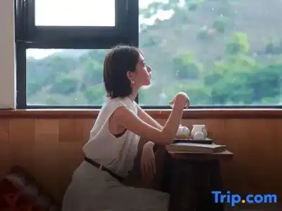 Yuequ yunshang Guesthouse - 65