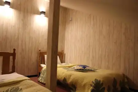 Pension Fryingpan - 60