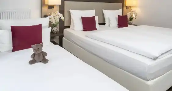 PLAZA INN Karlsruhe Nord - 52