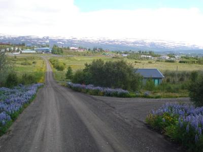 Vinland Guesthouse - 15