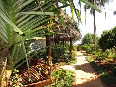 Villa Kiva Boutique - 21