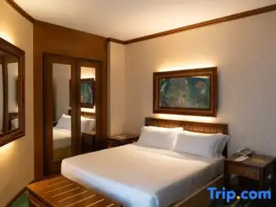 Grand Trento - 50