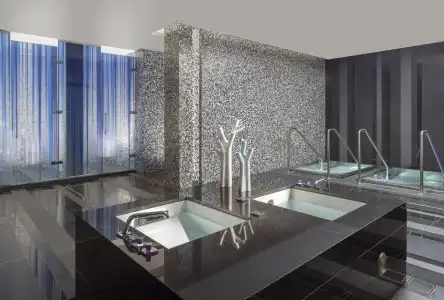 Royal Savoy & Spa - 8