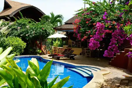 Wazzah Resort - 6