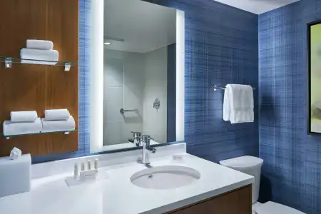 Residence Inn by Marriott Washington Downtown/Convention Center - 45