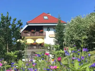 Schwarzwald-Pension Kräutle - 22