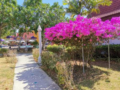 Holiday Villa - 14