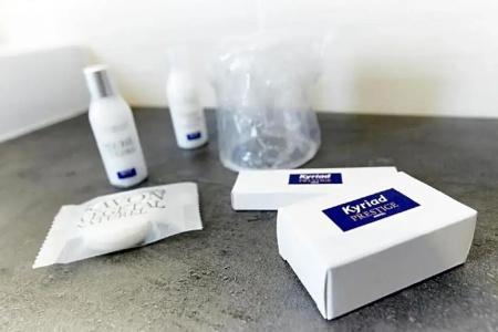Kyriad Prestige Vannes Centre – Palais Des Arts - 72