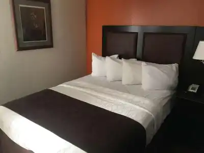 Baymont by Wyndham Lubbock - 26