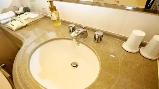 Holiday Inn ANA Sendai by IHG - 8