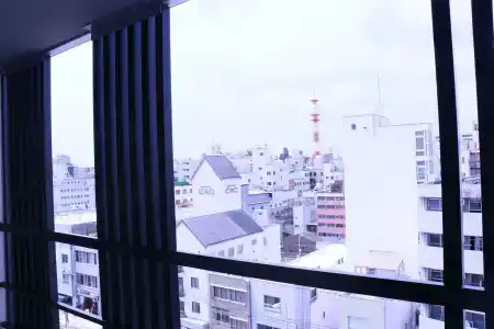 HOTEL.LINKS Dobutsuen-mae - 21