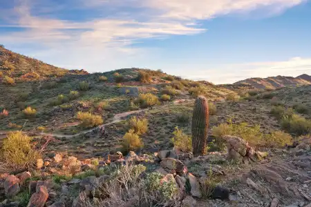WorldMark Phoenix - South Mountain Preserve - 38