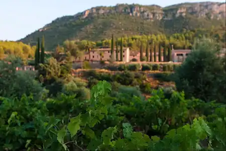 Terra Dominicata - & Winery - 11