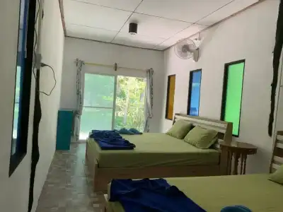 P.D. Guesthouse - 14