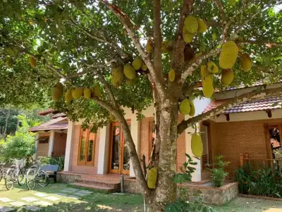 The Garden House Phu Quoc Resort - 357