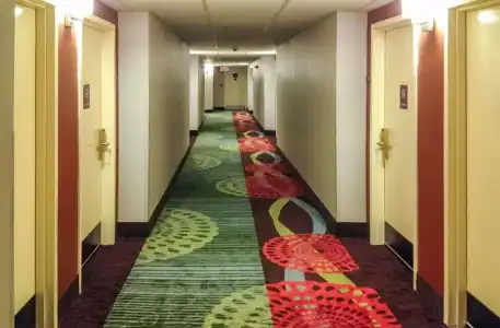 Comfort Inn North of Asheville - 13