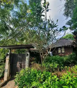 Sea Garden Resort - Haad Chao Phao - 153