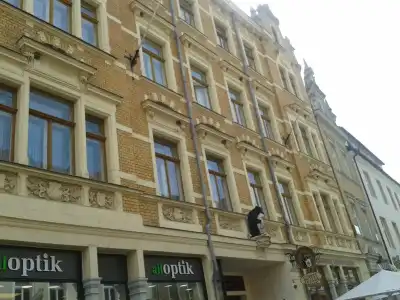 RingSchwarzer Baer - 13