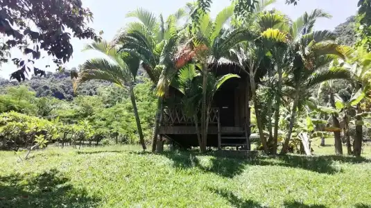 Q Bungalows - 69