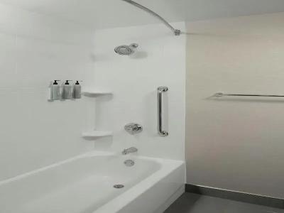 Courtyard Williamsburg Busch Gardens Area - 63