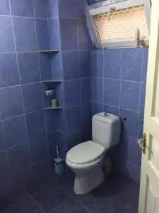 Guesthouse in Kobuleti - 17