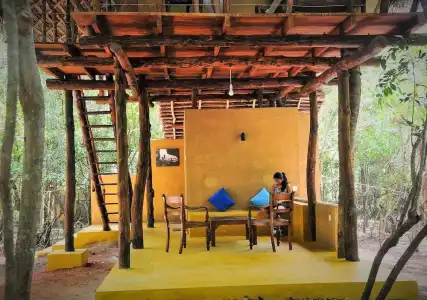 Back of Beyond - Pidurangala - 25