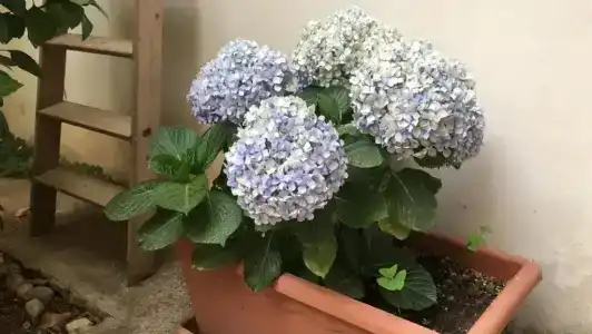 B&B La Casa di Paola - 49