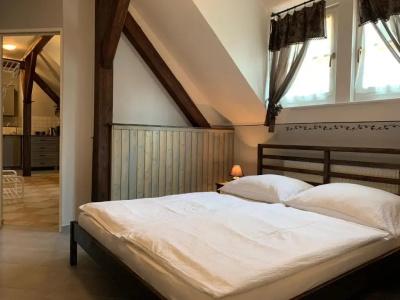 Pension Amadeus - 104
