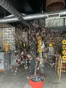 Quiri & Restaurant - 4