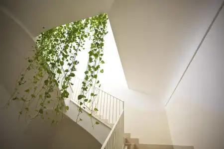 Sisters Hostel - 18