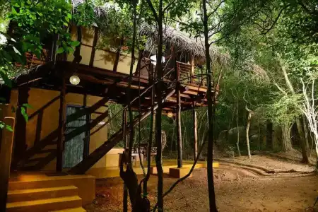 Back of Beyond - Pidurangala - 82