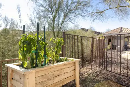 WorldMark Phoenix - South Mountain Preserve - 13