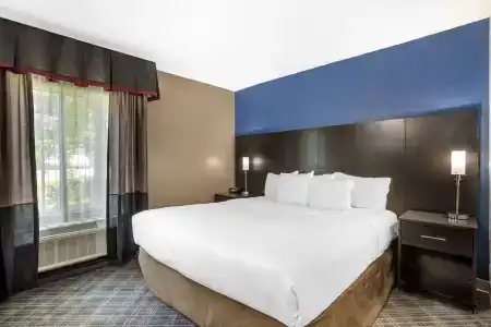 Comfort Suites Nashville Airport - BNA - 57