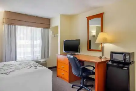 Sleep Inn Macon I-75 - 55