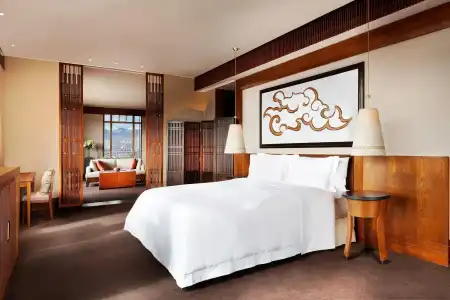 The St. Regis Lhasa Resort - 107