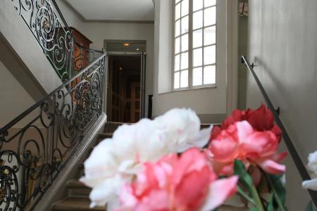 de Guise Nancy Vieille Ville - 12