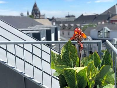 Brunfels, in the Unbound Collection by Hyatt - 66