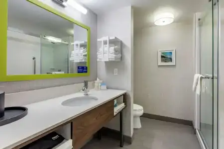 Hampton Inn Carlsbad-North San Diego County - 55