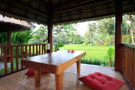 Byasa Ubud - 18