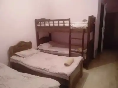 Kazbegi Hostel - 1