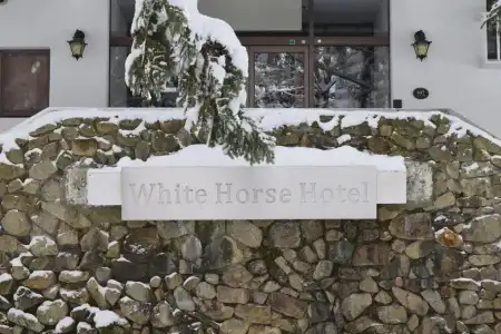 White Horse - 13
