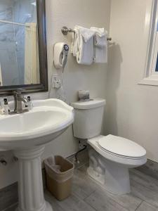 The Palomar Inn - 19