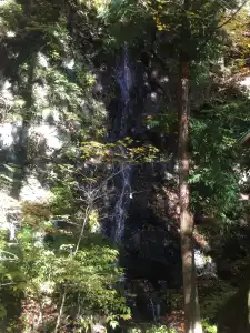 Tokiwa Ryokan - 12