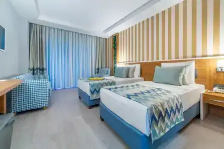 Lonicera Premium - 47