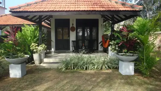 Seagulls Garden Cabanas Guest house - 14
