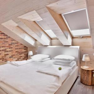 Absolutum Wellness - 31