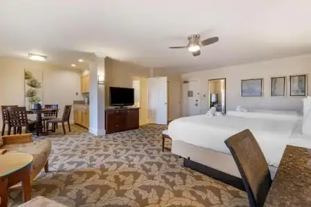 Best Western Plus Island Palms & Marina - 174