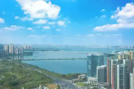 Four Points by Sheraton Wuhan Jiangxia - 30
