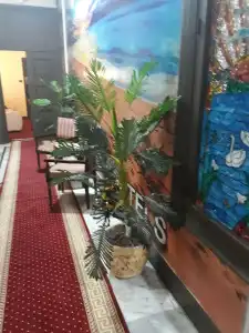 Paradise Boutique - 12