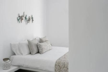 Eucalyptus - 50